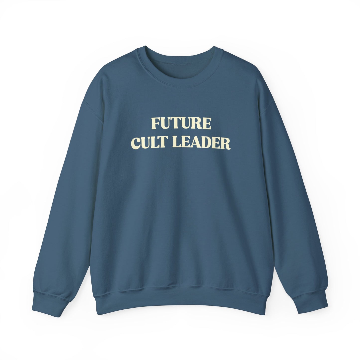 Handcrafted Unique Future Cult Leader, Limited Edition Funny Mental Health Sweatshirt, Gift for Friends or Family, Unisex Sweatshirt Gift