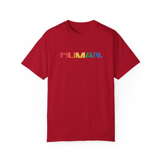 HUMAN Peeking Comfort Colors Shirt, Pride Tee, LGBT Shirt, Pride Shirt, Lesbian shirt, Gay shirt, Ally shirt, LGBTQ Shirt Rainbow shirt