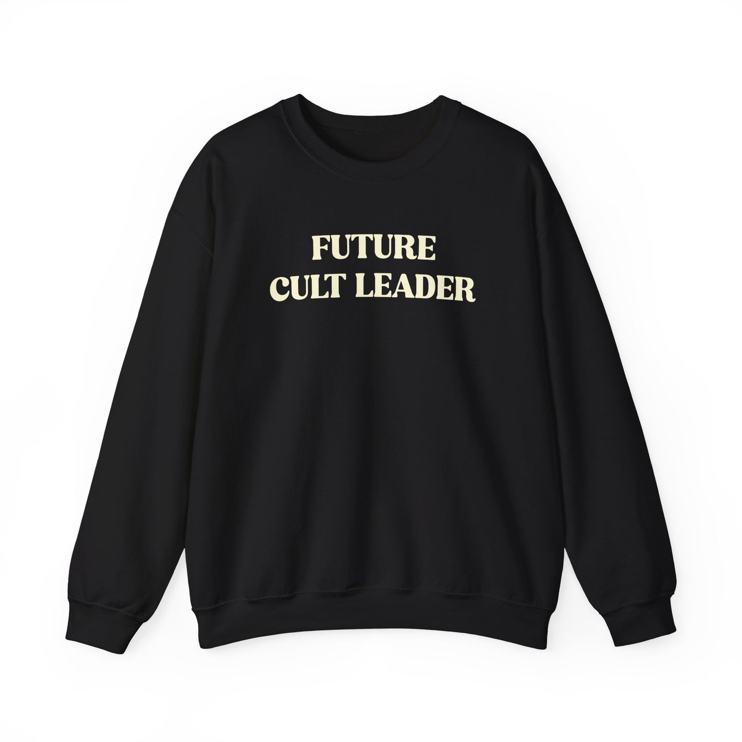 Handcrafted Unique Future Cult Leader, Limited Edition Funny Mental Health Sweatshirt, Gift for Friends or Family, Unisex Sweatshirt Gift