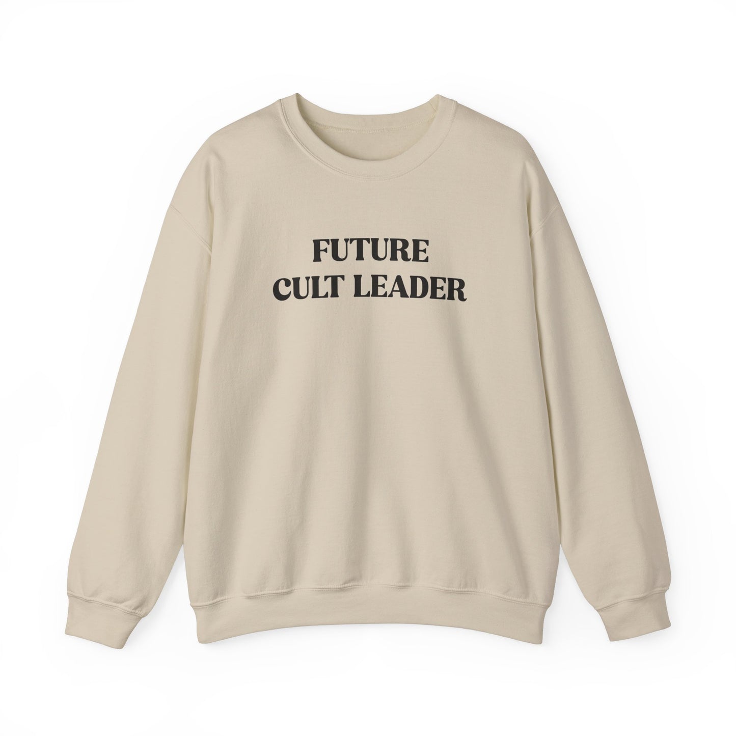 Handcrafted Unique Future Cult Leader, Limited Edition Funny Mental Health Sweatshirt, Gift for Friends or Family, Unisex Sweatshirt Gift