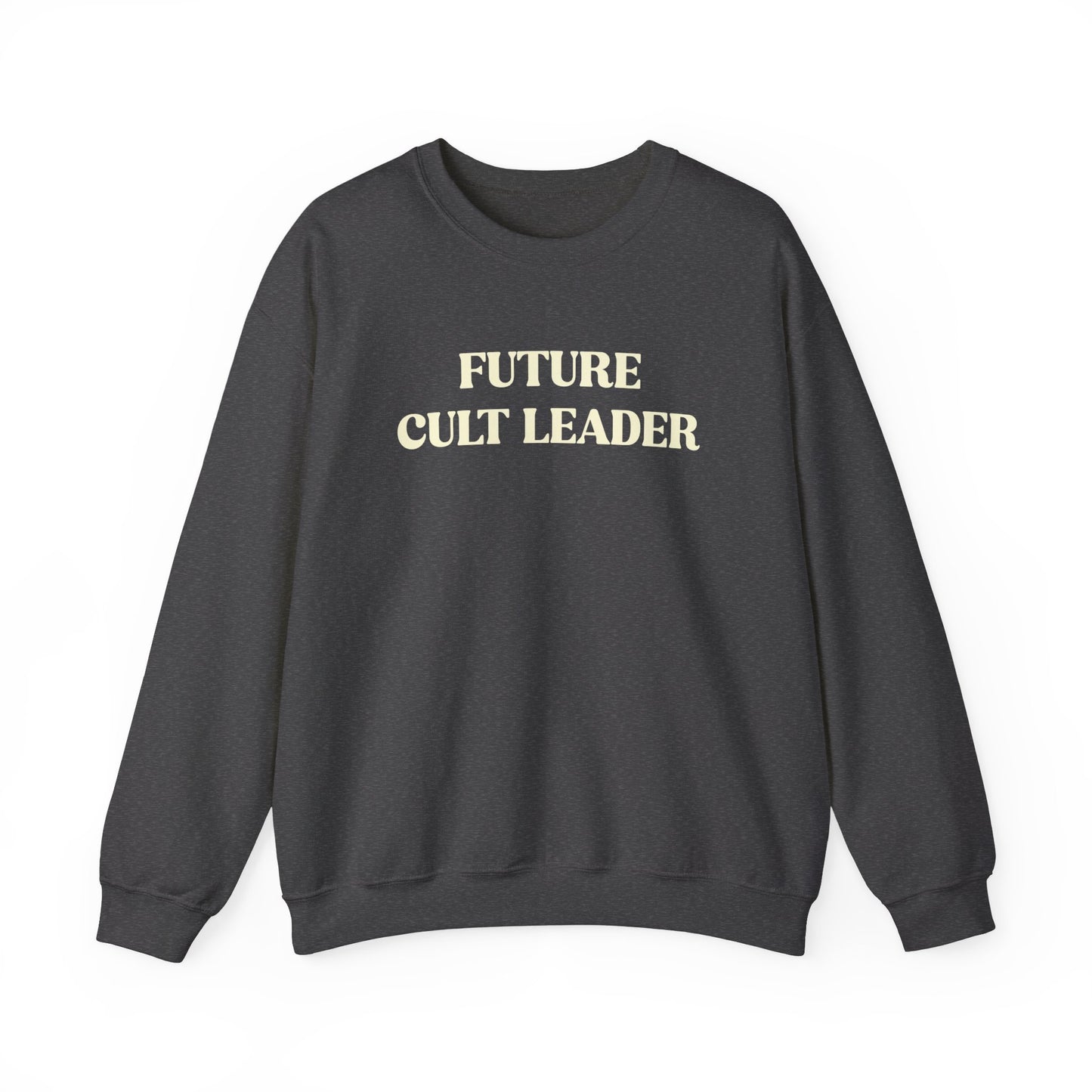 Handcrafted Unique Future Cult Leader, Limited Edition Funny Mental Health Sweatshirt, Gift for Friends or Family, Unisex Sweatshirt Gift