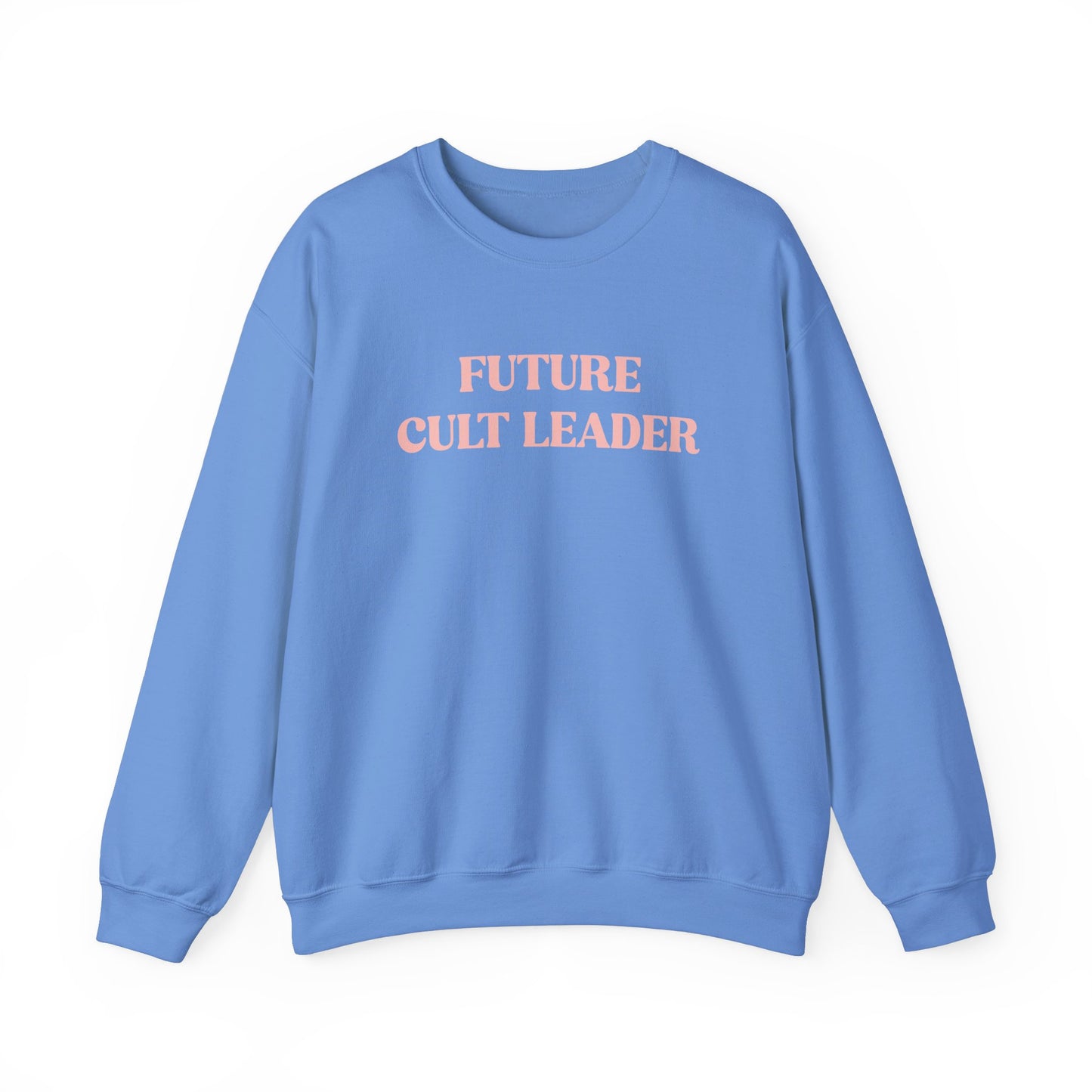 Handcrafted Unique Future Cult Leader, Limited Edition Funny Mental Health Sweatshirt, Gift for Friends or Family, Unisex Sweatshirt Gift